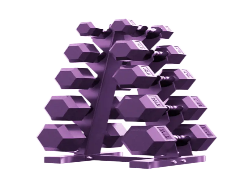 PAPABABE hex dumbbell sets with a sturdy steel rack and non-slip rubber heads for strength training.